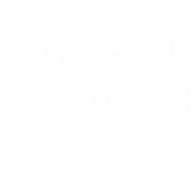 White Logo1.png