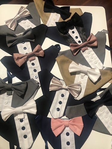 Assorted dog tuxedos with bow ties