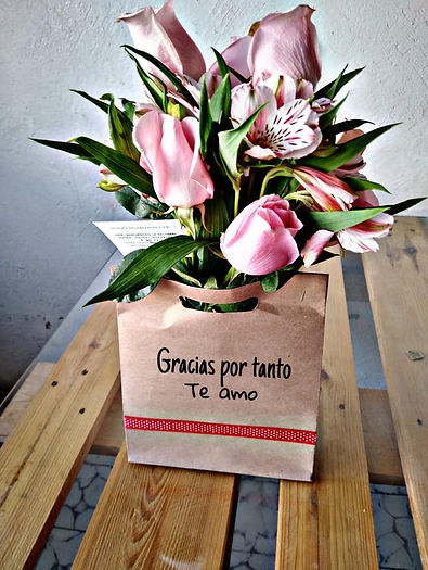 WhatsApp Image 2019-03-22 at 13.51.41 (1