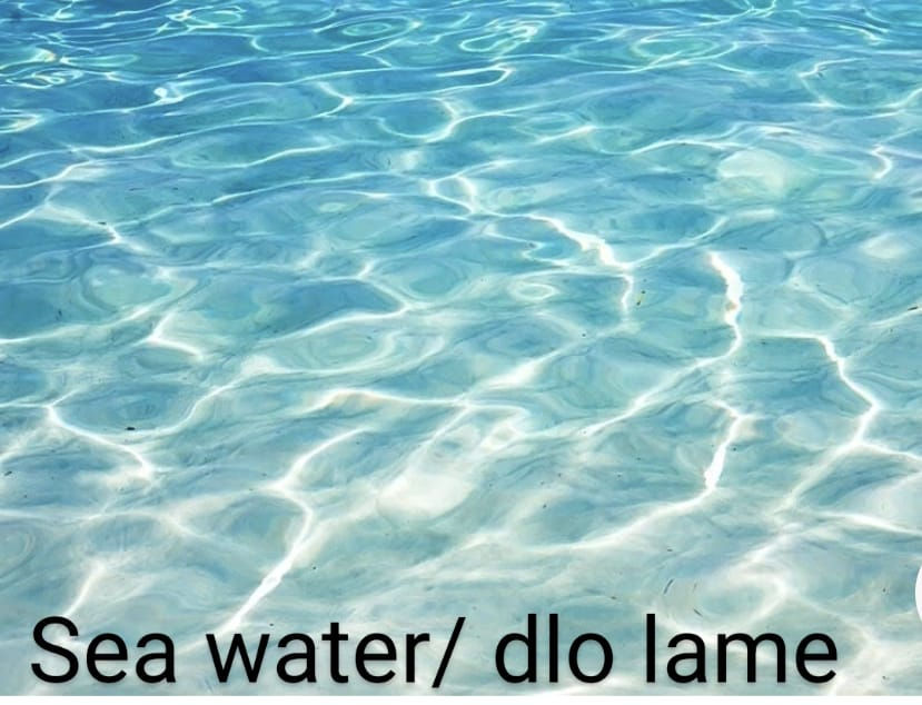 Dlo lame 1 Gallon