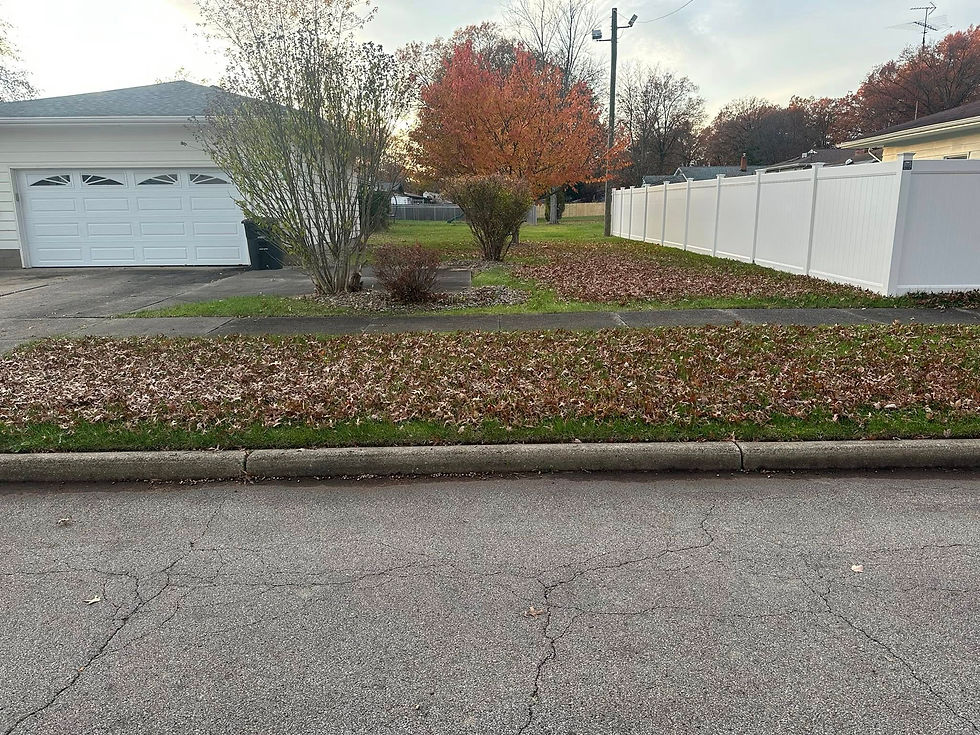 Seasonal Yard Cleaning Services