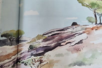 Paysage Simon livre Frère d'arbres - 1.jpeg