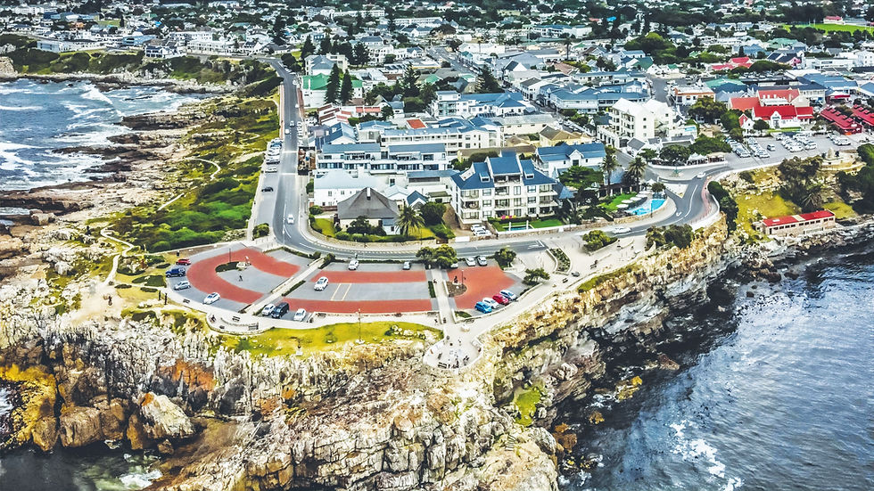 Photograph by Martin Etsebeth_edited.jpg