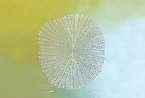 pierre-chatel-innocenti-Lk-nu_hX6ms-unsplash 2.png