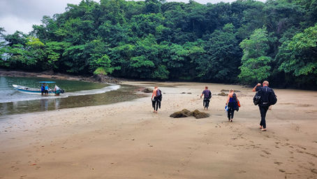 How to Practice Sustainable Dive Practices: A Guide for Responsible Scuba Divers in Coiba and Contreras, Panama
