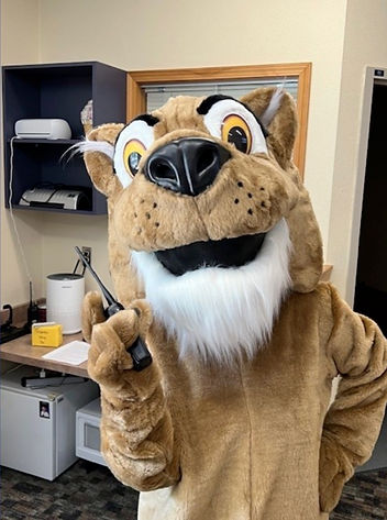 Carrolls Cougars Volunteering