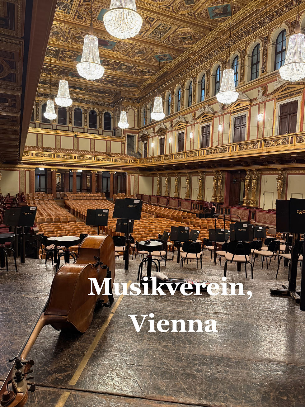 Musikverein, Vienna