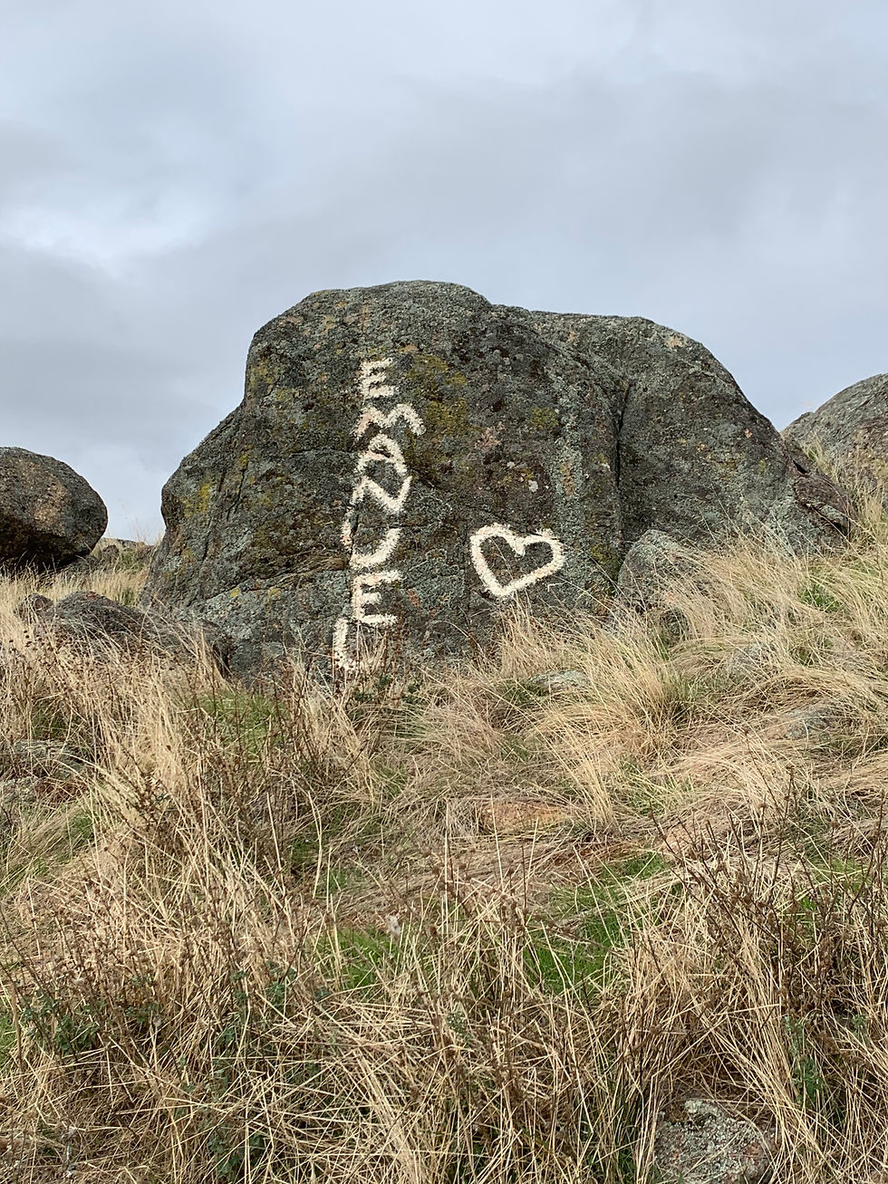 Manny's favourite hill in the Strathbogies