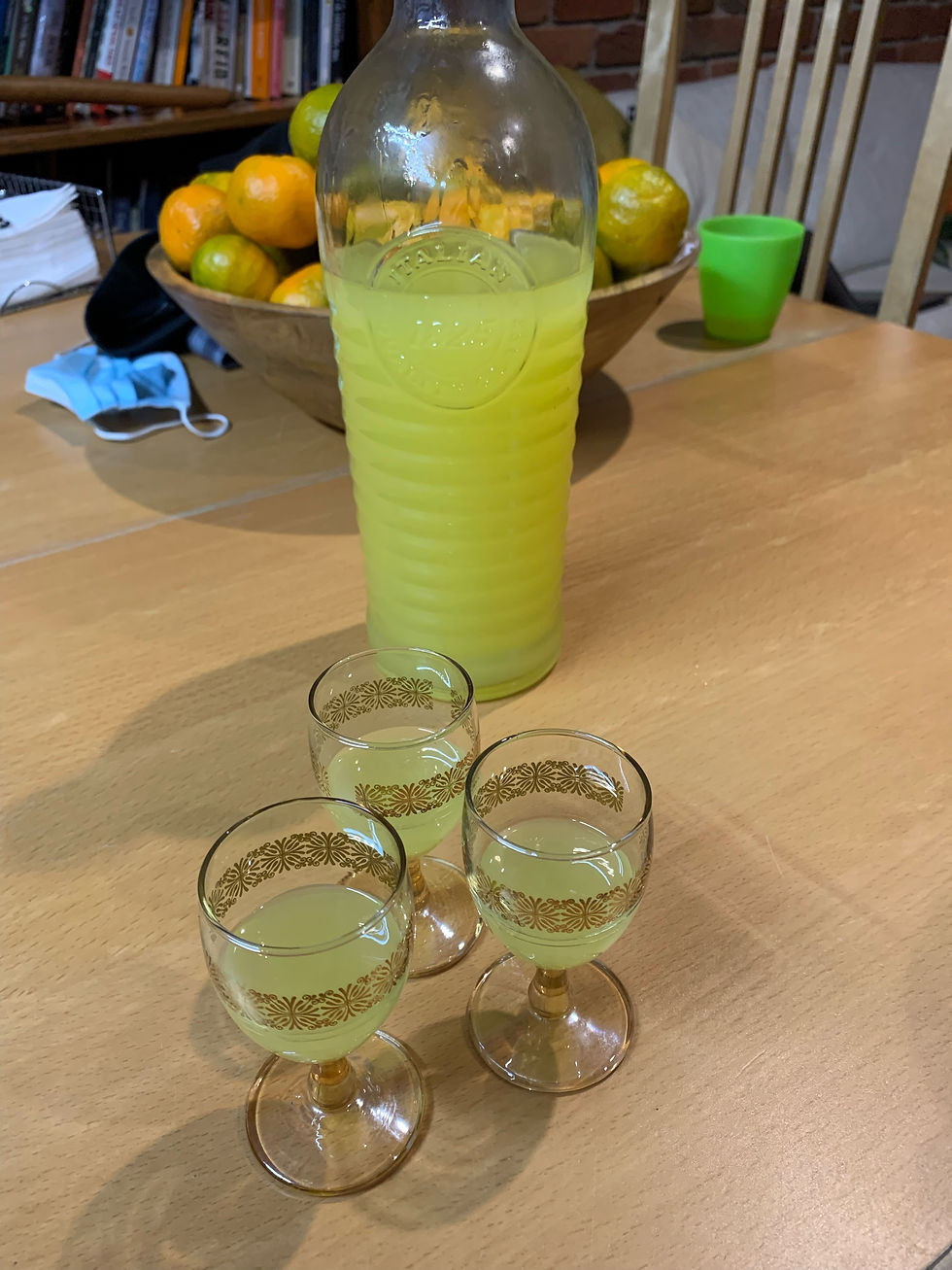 LIMONCELLO 1.jpeg