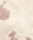 WM-XY121502