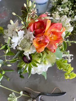 Farm fresh summer colors 