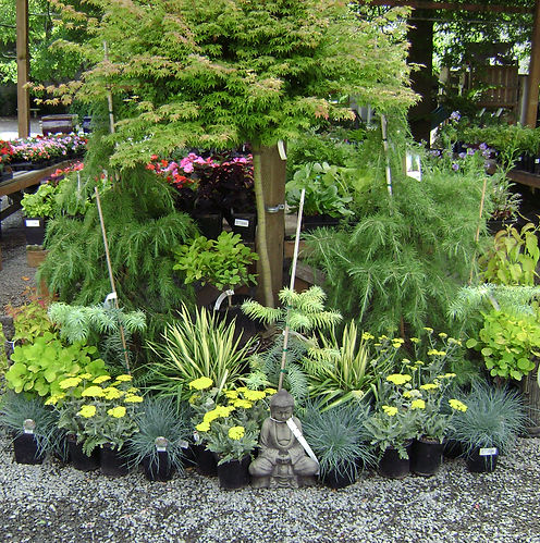 Garden Design too? Putting together live plants is fun to do!