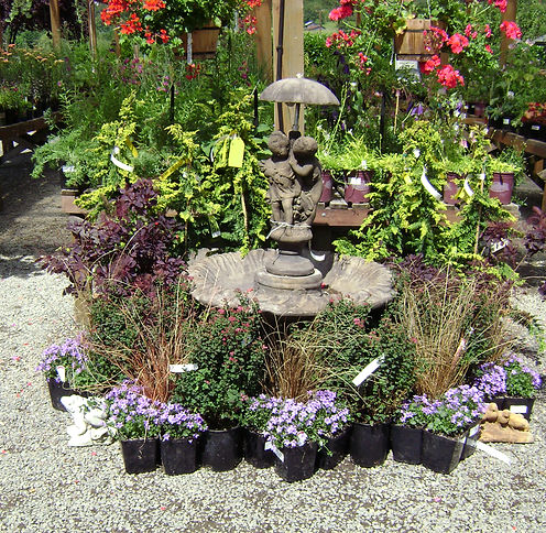 Garden Design is a fun hobby as well!