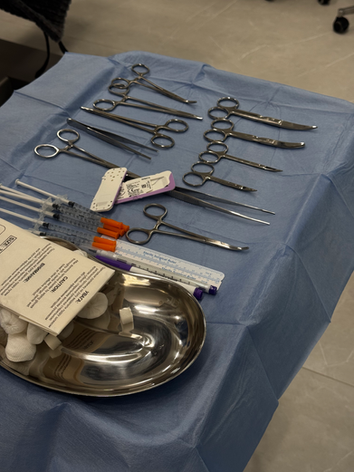 Курс з інтимної пластики