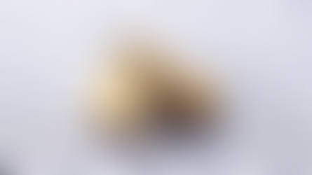 小樹生活事件凸顯「撞庫攻擊」風險。神坊資訊資安顧問 Steven 專訪解析:為什麼帳號安全與密碼管理比企業防護更關鍵?如何透過多因素驗證與提升資安意識,降低被駭風險。