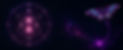 upscaled-2x-butterfly_banner_edited.jpg