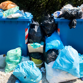 Spotlight on Rubbish