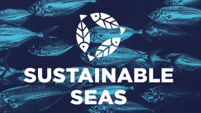 The Guidelines In Action: Burgess Launches Sustainable Seas 