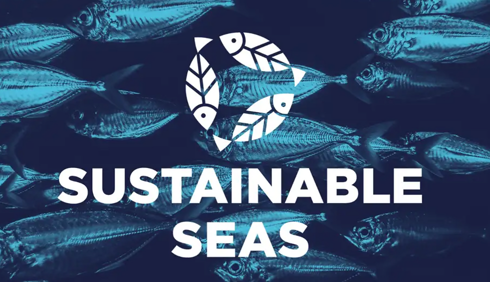 The Guidelines In Action: Burgess Launches Sustainable Seas 