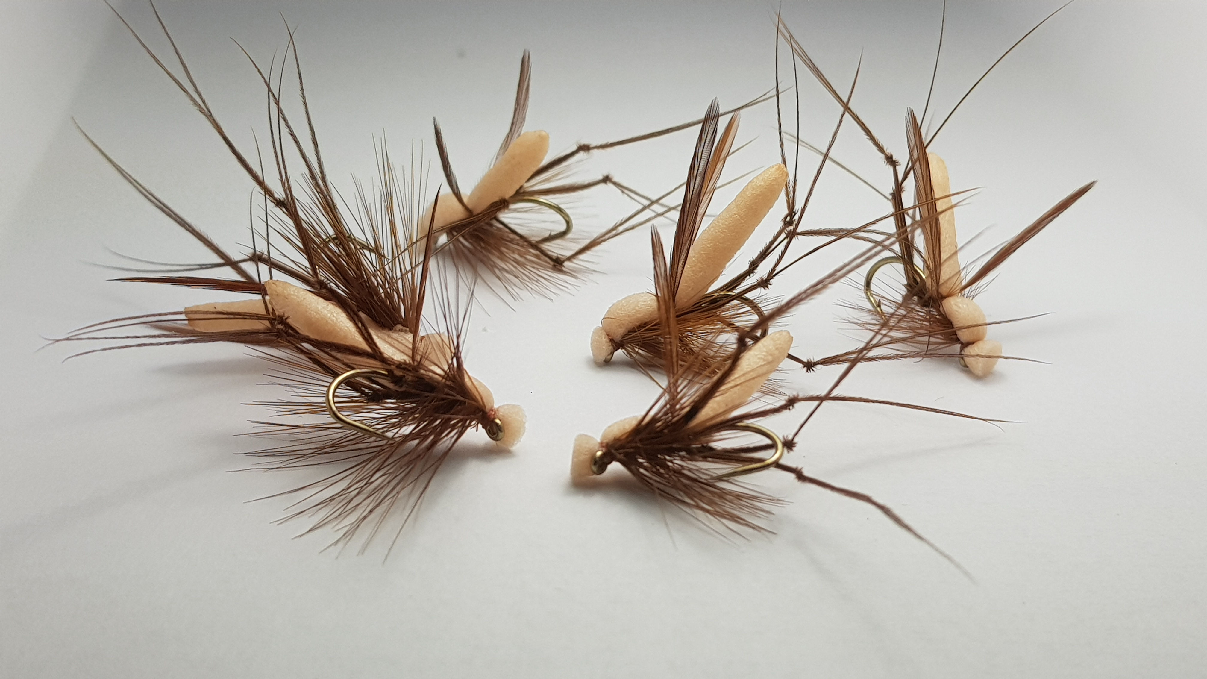 Daddy Long Legs Various