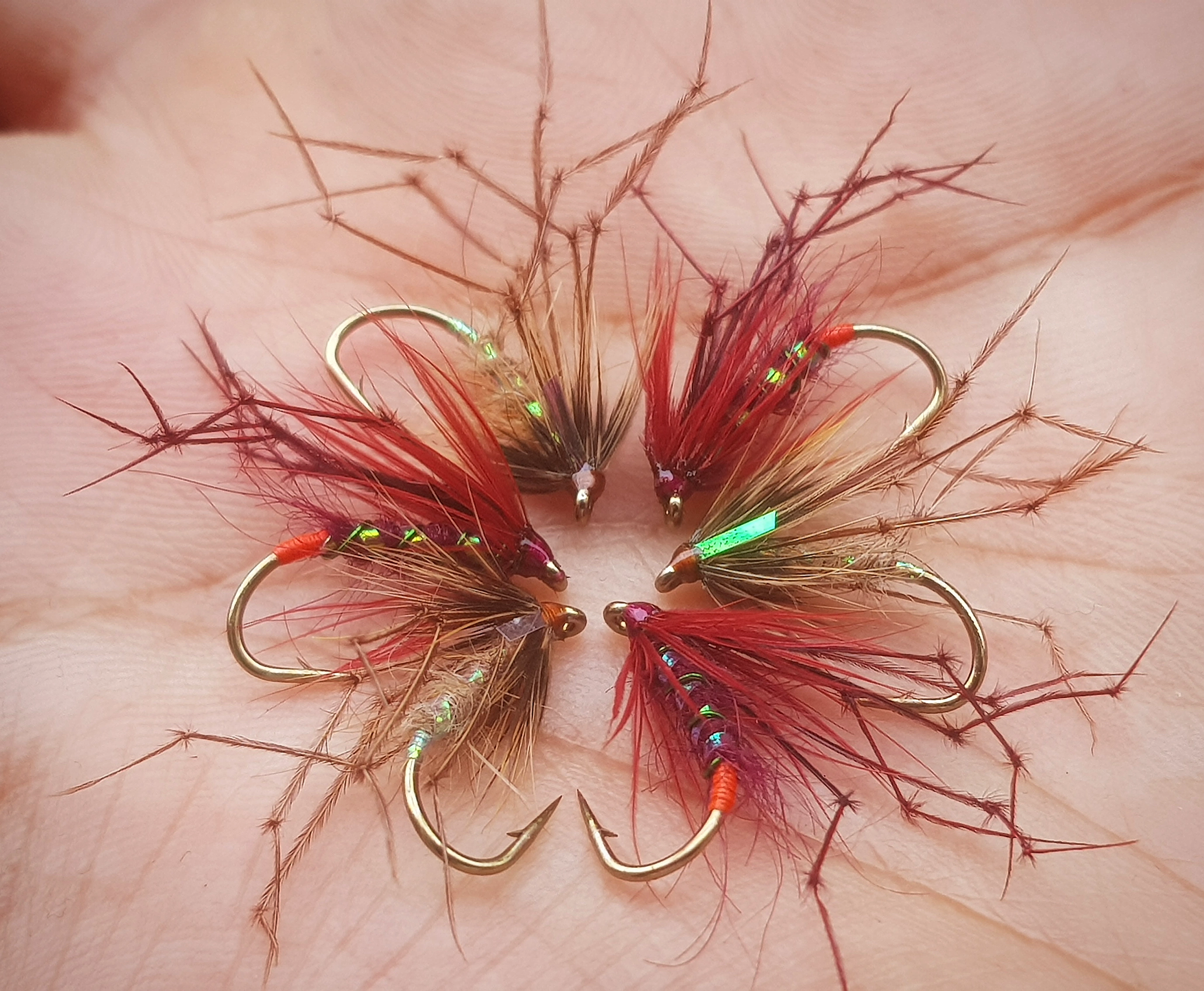 Claret  Hopper size 10