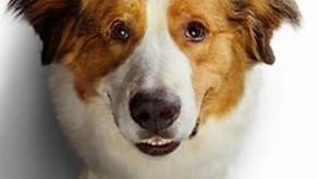 A Dog’s Journey (2019)