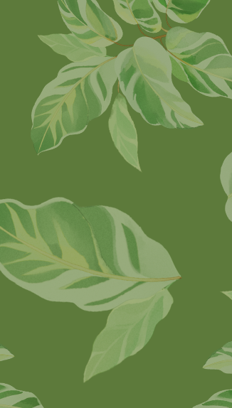 website background.png