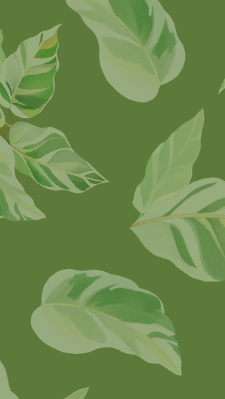 website background (3).png
