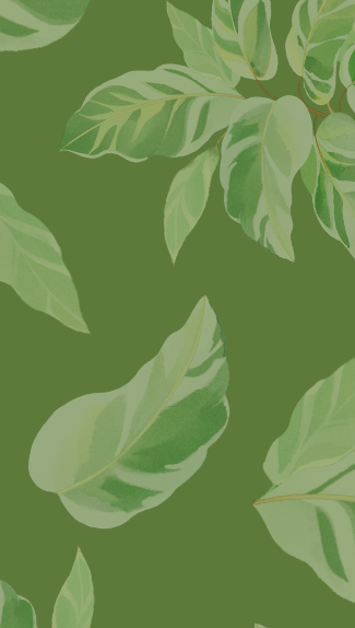 website background (4).png