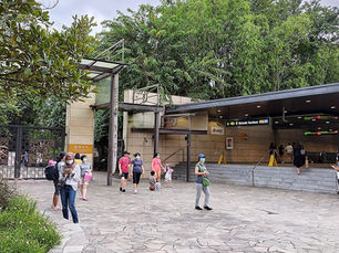 Nature walk with Singapore Democratic School