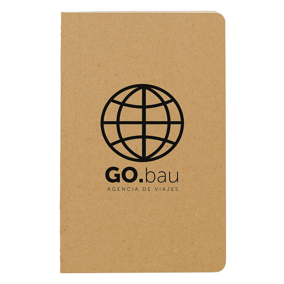 Cahier a rayas pocket