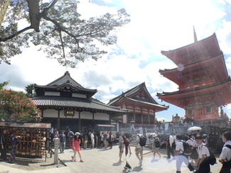 2016夏|京阪神奈景點推薦