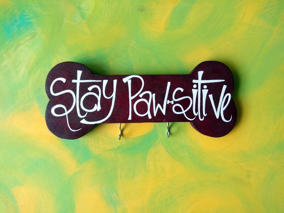 Pet Themed Key Holder - Stay Pawsitive