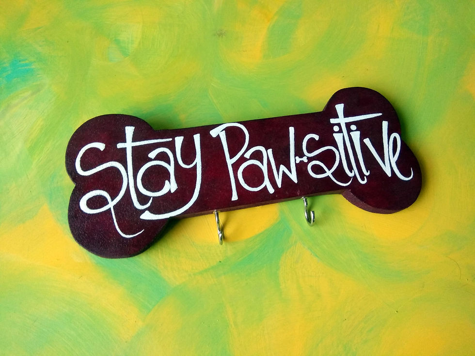 Thumbnail: Pet Themed Key Holder - Stay Pawsitive