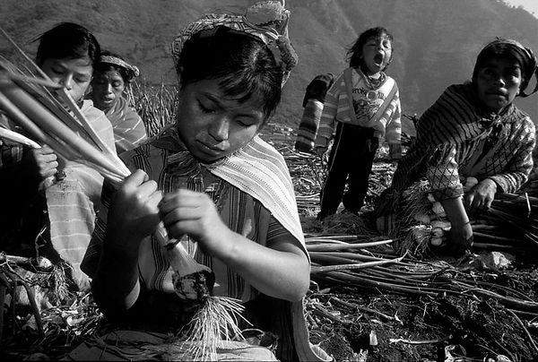 Child labour 14.jpg