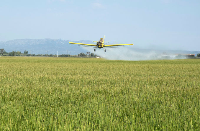 Pesticidas agricultura copia.jpg