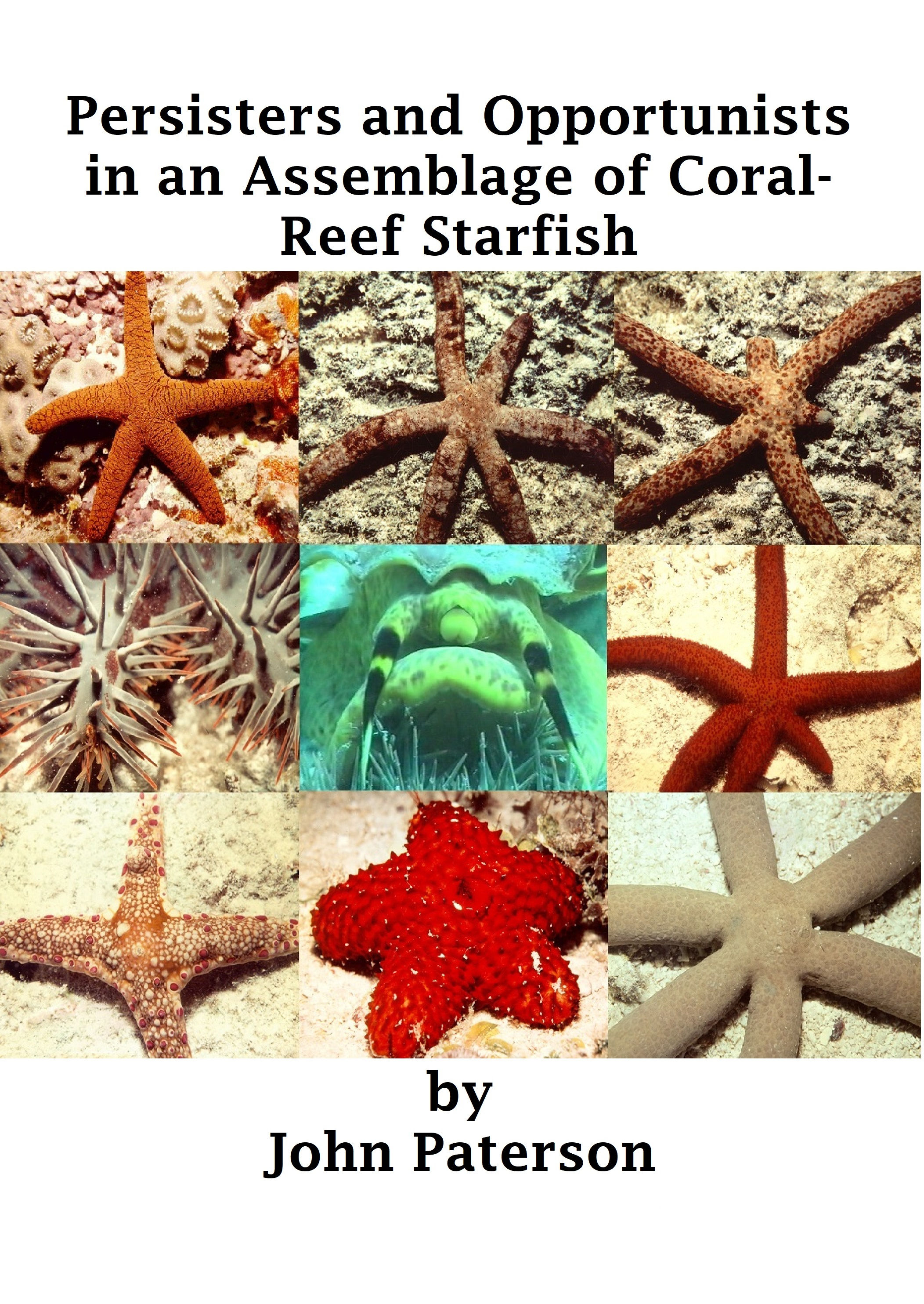Persisters and Opportunists in an Assemblage of Coral-Reef Starfish