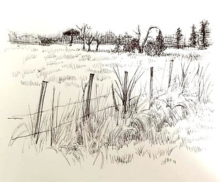 Prairie Nodot.jpeg