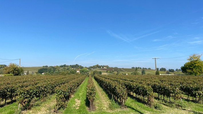 Paysage global (1).jpg