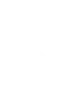 logo cartes de tarot