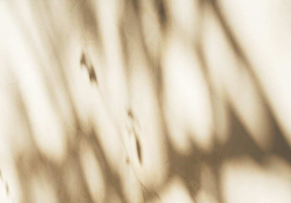 Screenshot 2026-04-01 at 12.16.38.png