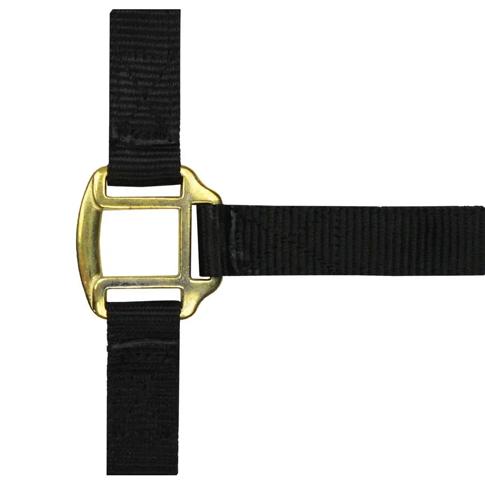 Licol nylon doublé cuir pour cheval