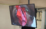 image2.jpeg