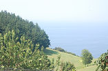 Las vistas