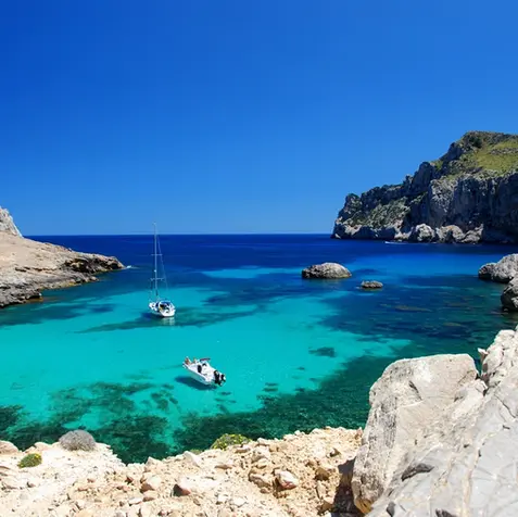 Palma de maiorca.webp