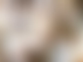 différentes essences de bois pour la sculpture sur bois