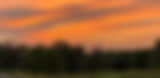IMG_8849_edited.jpg