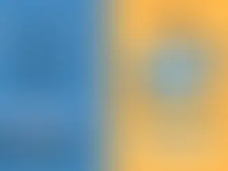 Split image: Internet with globe on blue, labeled "Public access." Intranet with computer on orange, labeled "Private access."