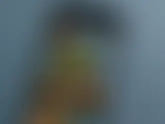 Smartphone displaying a photo gallery with diverse images: people, nature, sunflower. Black interface with cloud and lock icons. Calm setting.