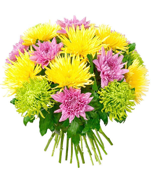 Миниатюра: Букеты из крупных хризантем (каталог внутри)